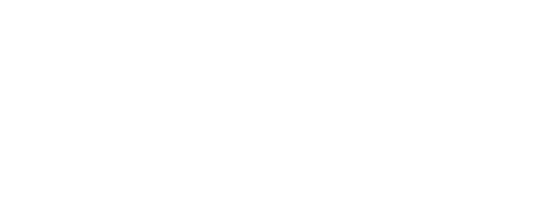 DiscoveryBound Logo WHITE